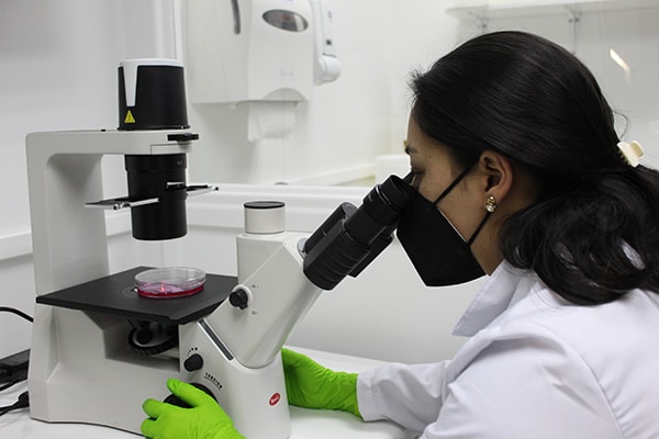 y análisis de proteínas recombinantes
